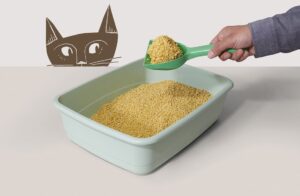 Кукурузный комкующийся наполнитель для кошачьего туалета. Разбираем преимущества!